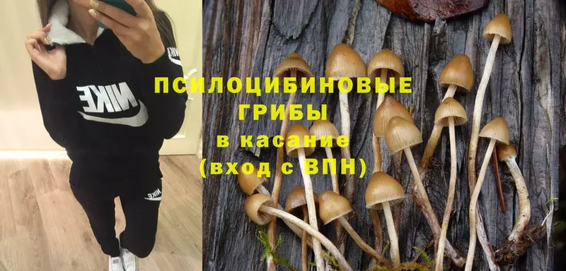 darknet состав  Советский  Псилоцибиновые грибы MAGIC MUSHROOMS 